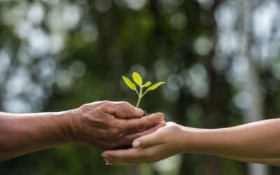 What is a Dynasty Trust?